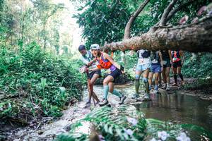 BIB: 
                            <button type="button" onclick="openModal(25445867)" class="btn btn-primary btn-sm float-right btn-popup" data-toggle="modal" data-target=".modal-high-quality">
                        <i class="fas fa-shopping-cart"></i> Add to Cart
                    </button>
                                            <button type="button" onclick="isThisMe(25445867, true)" class="btn btn-success btn-sm float-right btn-popup btn-isme hidden" data-toggle="tooltip" data-placement="bottom" title="นี่คือรูปของคุณใช่ไหม คลิกที่นี่เพื่อเอาเข้าอัลบั้ม">
                        <i class="fas fa-plus"></i> Add to album
                    </button>
                    <button type="button" onclick="isThisMe(25445867, false)" class="btn btn-warning btn-sm float-right btn-popup btn-isnotme hidden">
                        <i class="fas fa-ban"></i> Remove from album
                    </button>